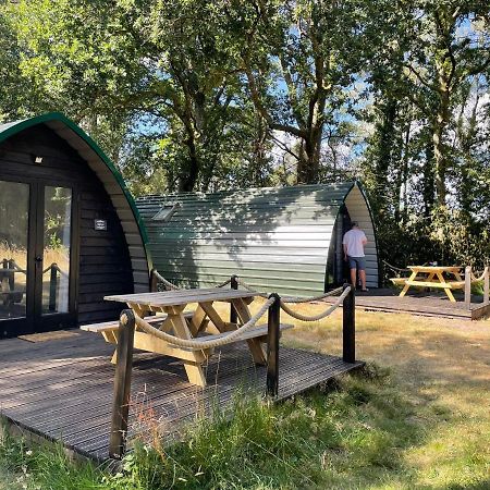 Nightjar Cabin At Cloudshill Glade Wareham Dış mekan fotoğraf
