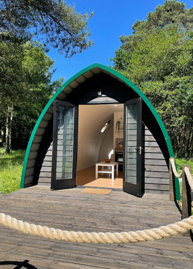 Nightjar Cabin At Cloudshill Glade Wareham Dış mekan fotoğraf