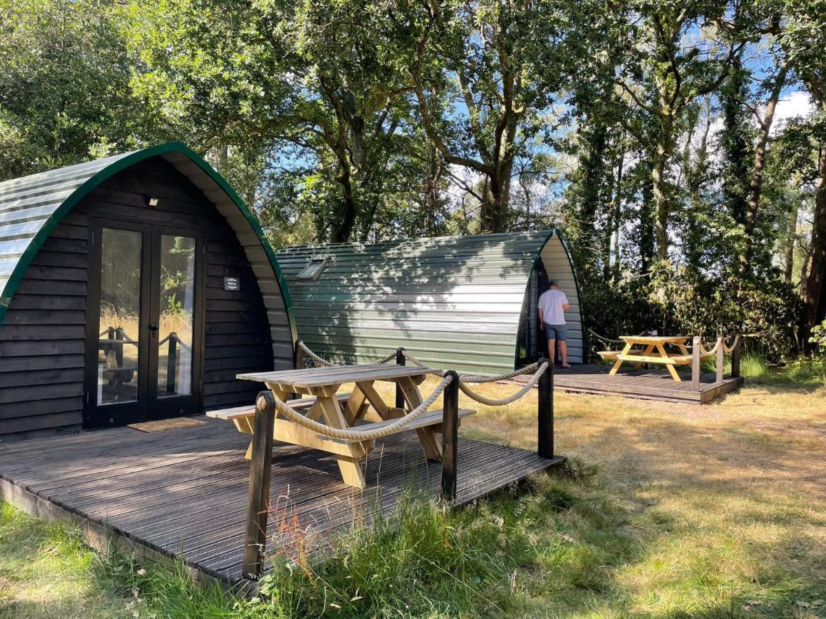 Nightjar Cabin At Cloudshill Glade Wareham Dış mekan fotoğraf