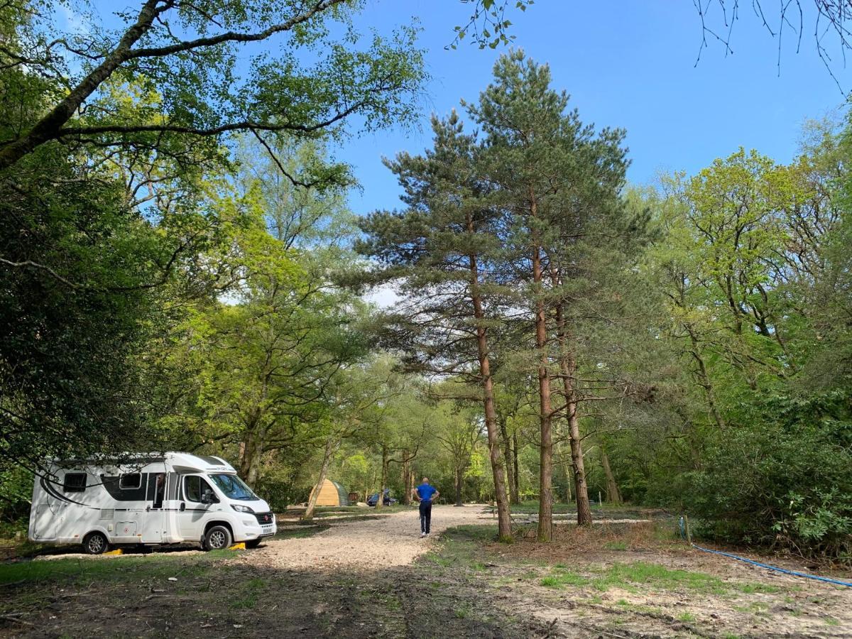 Nightjar Cabin At Cloudshill Glade Wareham Dış mekan fotoğraf